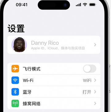 芦溪appleID维修服务iPhone设置中Apple ID显示为灰色无法使用 