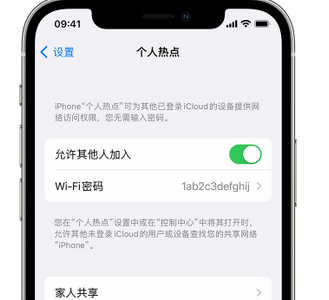 芦溪apple服务站点分享iPhone上个人热点丢失了怎么办 