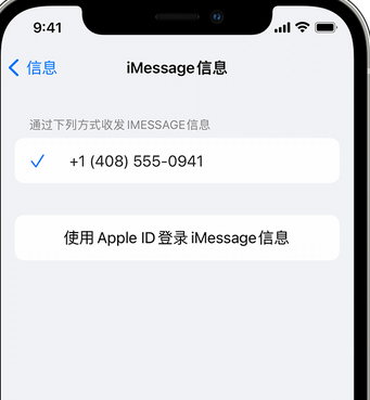 芦溪apple维修iPhone上无法正常发送iMessage信息 