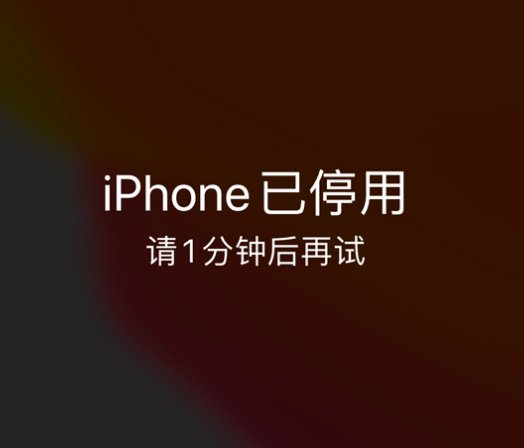 芦溪苹果手机维修分享:iPhone 显示“不可用”或“已停用”怎么办？还能保留数据吗？ 