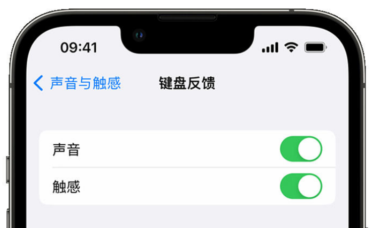 芦溪苹果手机维修分享iPhone 14触感键盘使用方法 