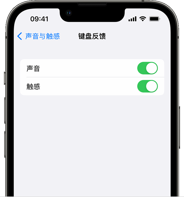 芦溪苹果14维修店分享如何在 iPhone 14 机型中使用触感键盘 