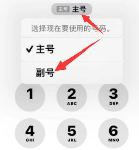 芦溪苹果14维修店分享iPhone 14 Pro Max使用副卡打电话的方法 