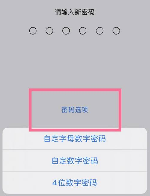 芦溪苹果14维修分享iPhone 14plus设置密码的方法 