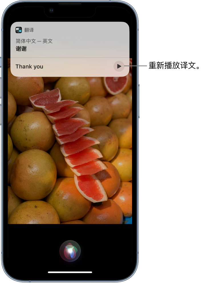 芦溪苹果14维修分享 iPhone 14 机型中使用 Siri：了解 Siri 能帮你做什么 