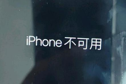 芦溪苹果服务网点分享锁屏界面显示“iPhone 不可用”如何解决 