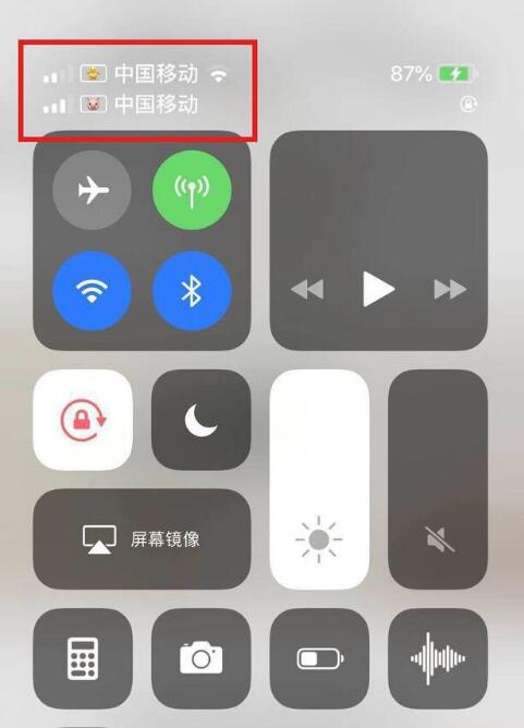 芦溪苹果手机维修分享为 iPhone 12 双卡设置标签 