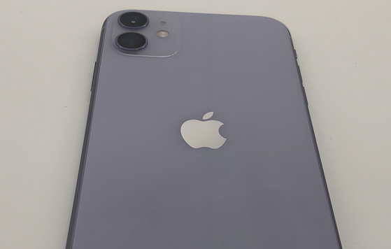 芦溪苹果11系统维修分享iPhone11手机系统崩溃无法开机如何解决 