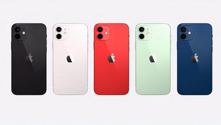 芦溪苹果维修点分享iPhone 12黑屏隐蔽故障解读 