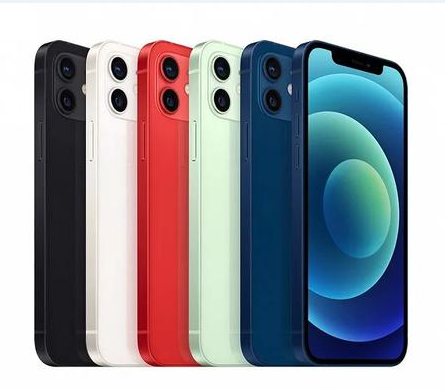 芦溪苹果维修点分享iPhone 12 Pro Max黑屏冷门故障解读 