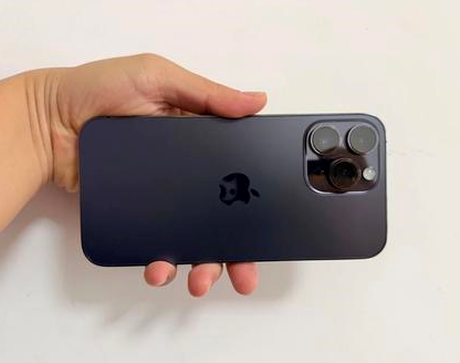 芦溪苹果维修点分享iPhone 14 Pro Max发烫多重诱因剖析 
